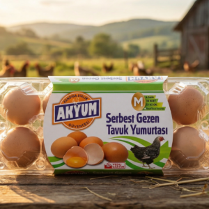 Akyum Gezen Tavuk Yumurtası